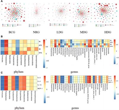 Effects of Weizhuan’an on rats with precancerous lesions of gastric cancer based on regulating gastric mucosal microflora and inflammatory factors